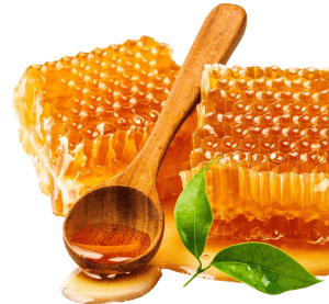 Honey Comb