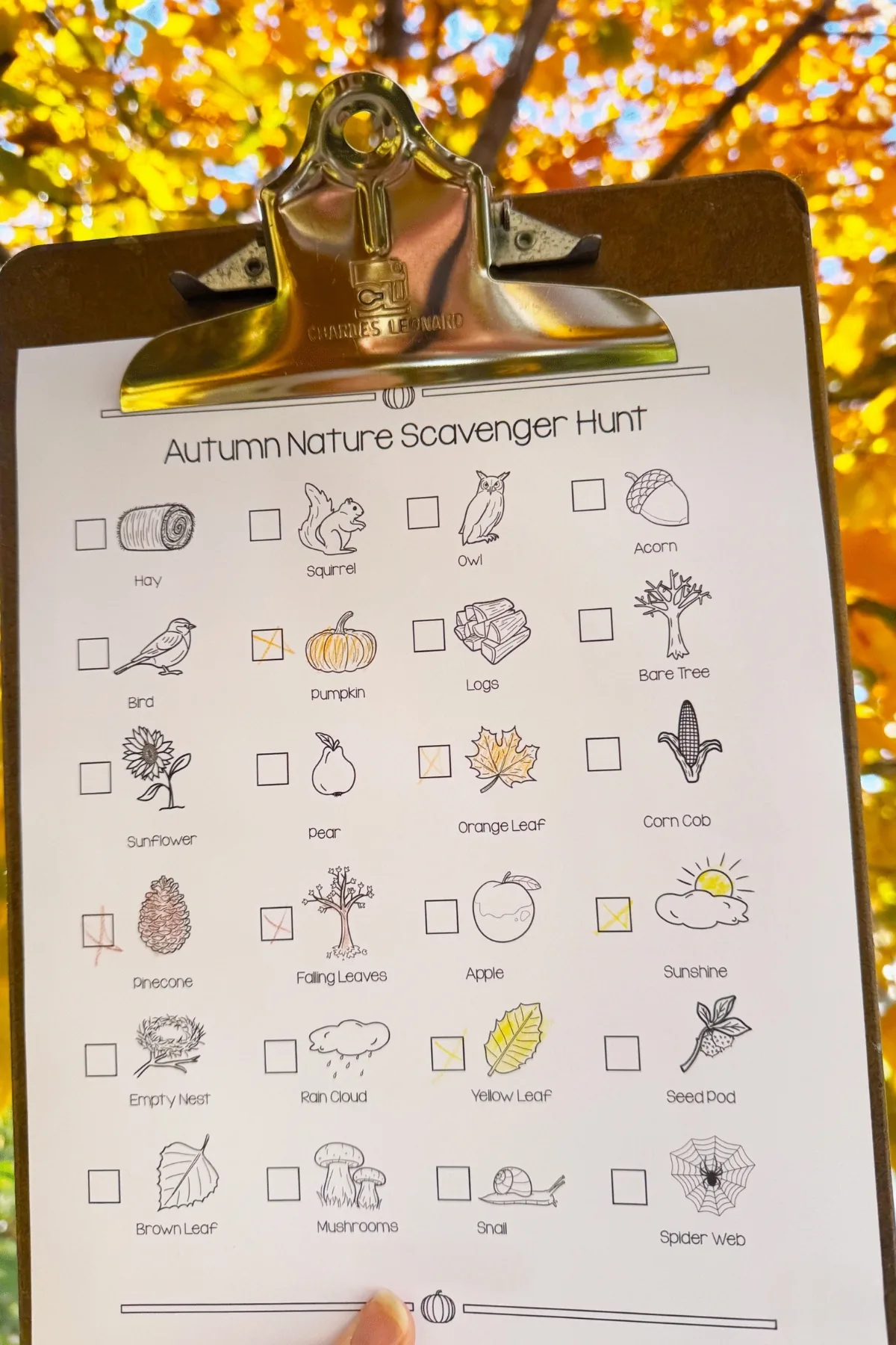Clipboard with a printed autumn nature scavenger hunt checklist of small drawings, a few boxes colored in