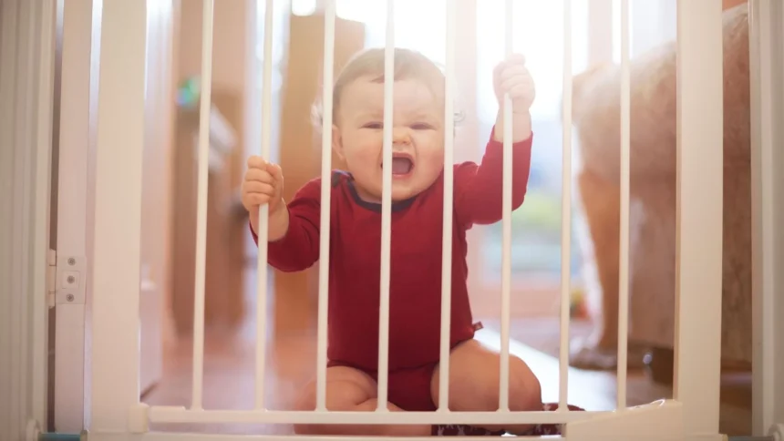 A baby in a red bodysuit sits behind a white safety gate with both hands on the bars: babyproofing