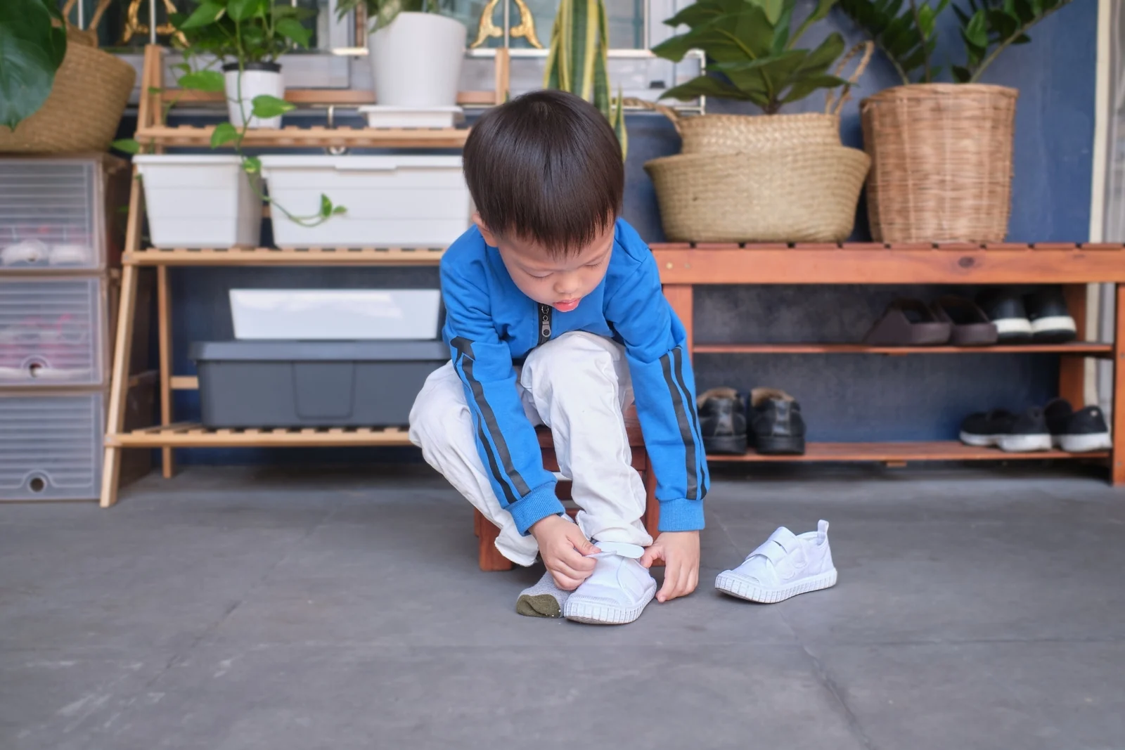 Child sitting on a small stool fastening a white velcro shoe, with a wooden shoe rack and plants behind