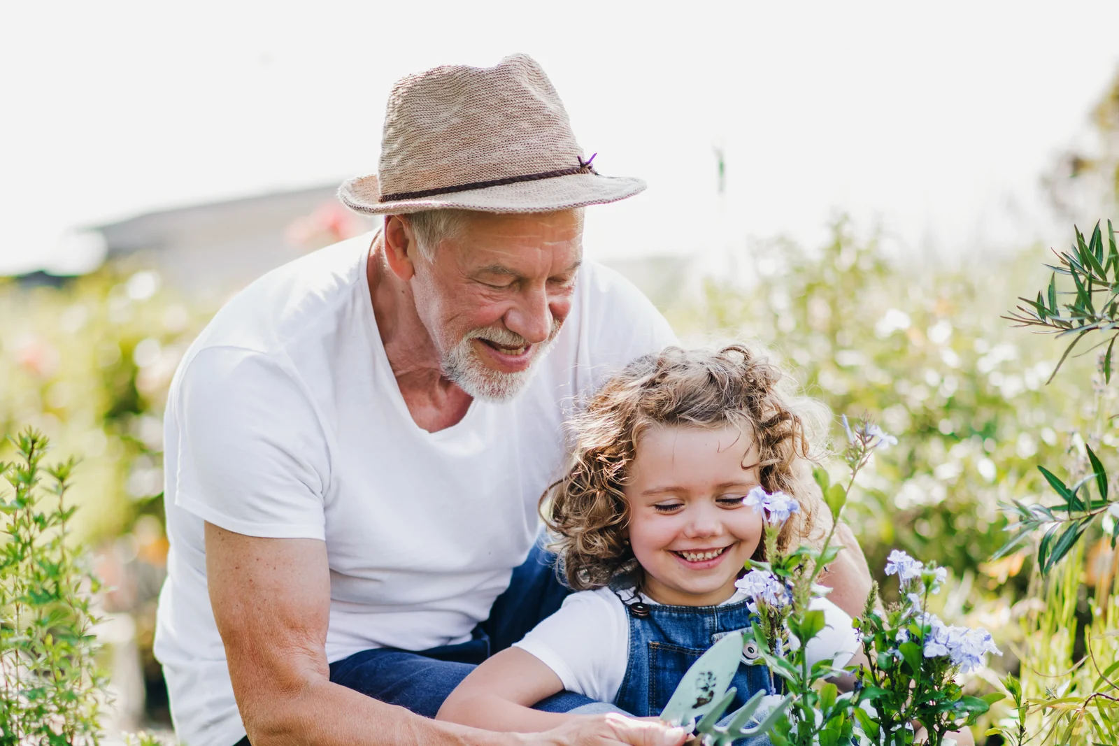 Grandfather in a straw hat crouching beside a smiling toddler girl as they pot plants together in a garden