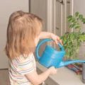 A toddler waters a houseplant with a small watering can at home, an everyday look at Montessori terms in action