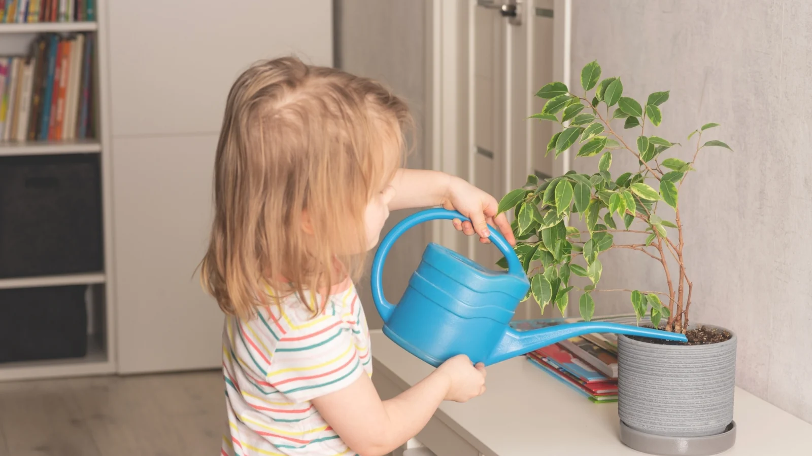 A toddler waters a houseplant with a small watering can at home, an everyday look at Montessori terms in action