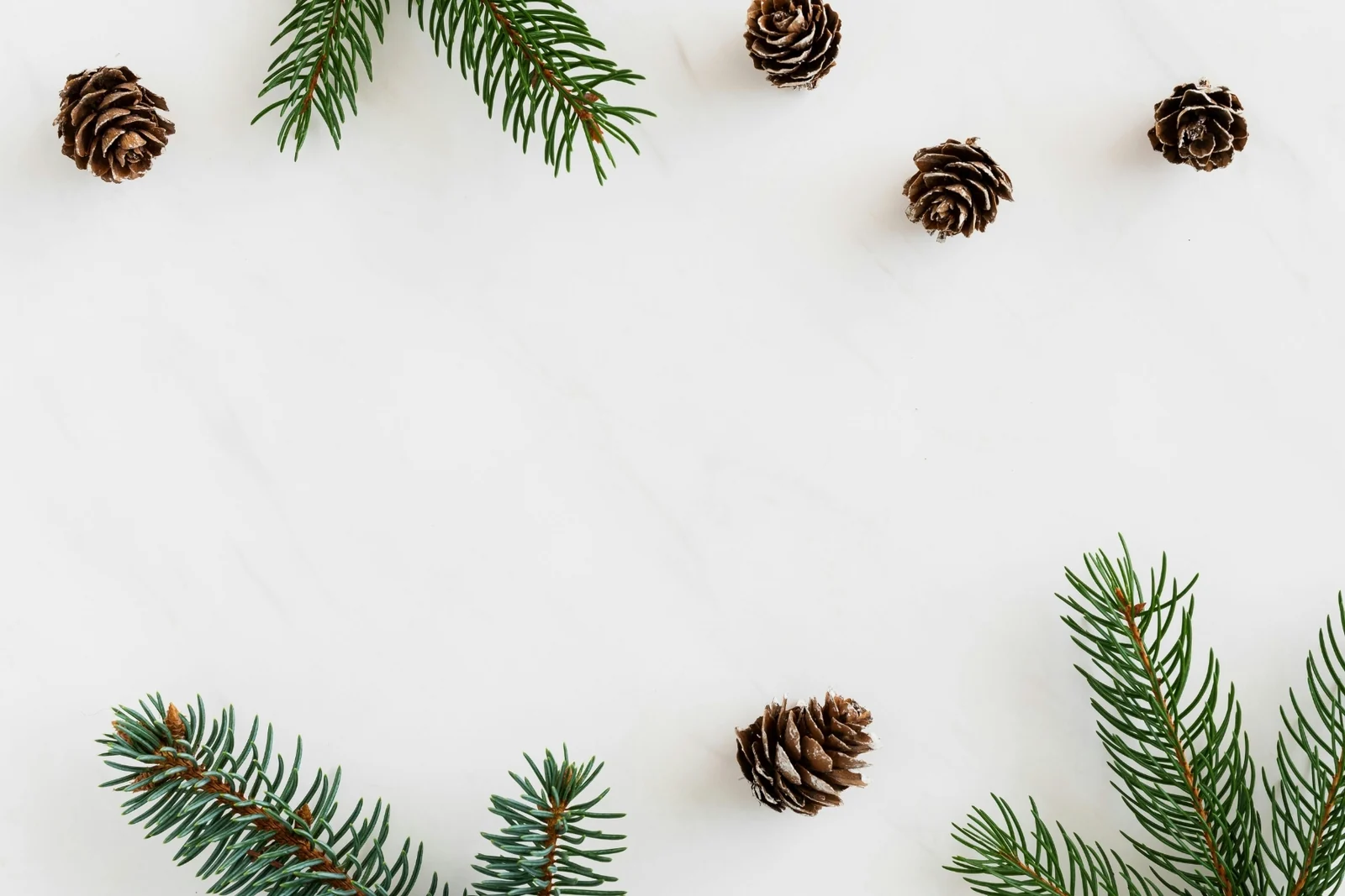 Pine cones and evergreen sprigs laid out on a white surface