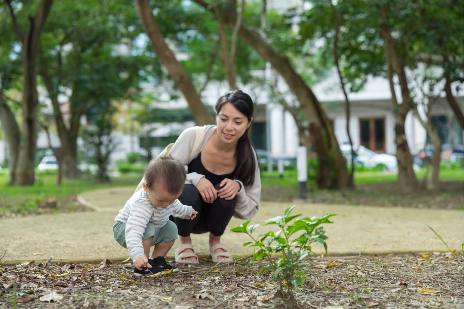 Toddler and an adult crouching together in a garden, looking closely at the plants