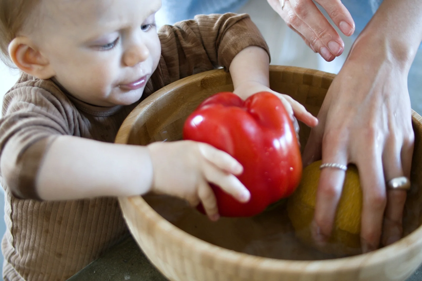 Toddler's hands on a red bell pepper in a wooden bowl of shallow water, with an adult's hands beside the bowl