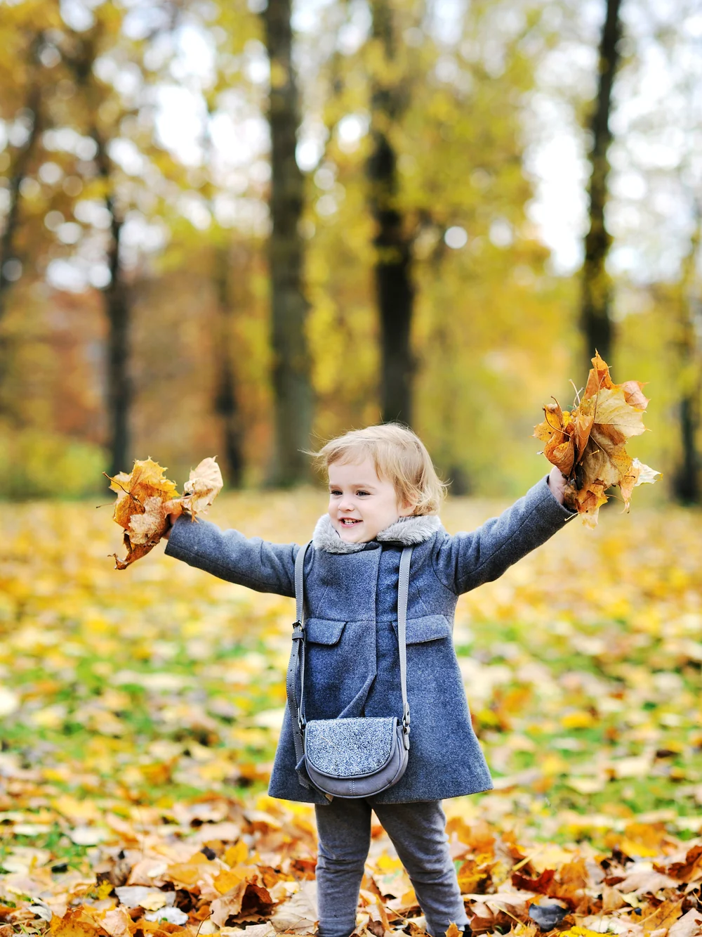 Toddler in a blue wool coat standing among fallen autumn leaves with a handful of leaves in each hand