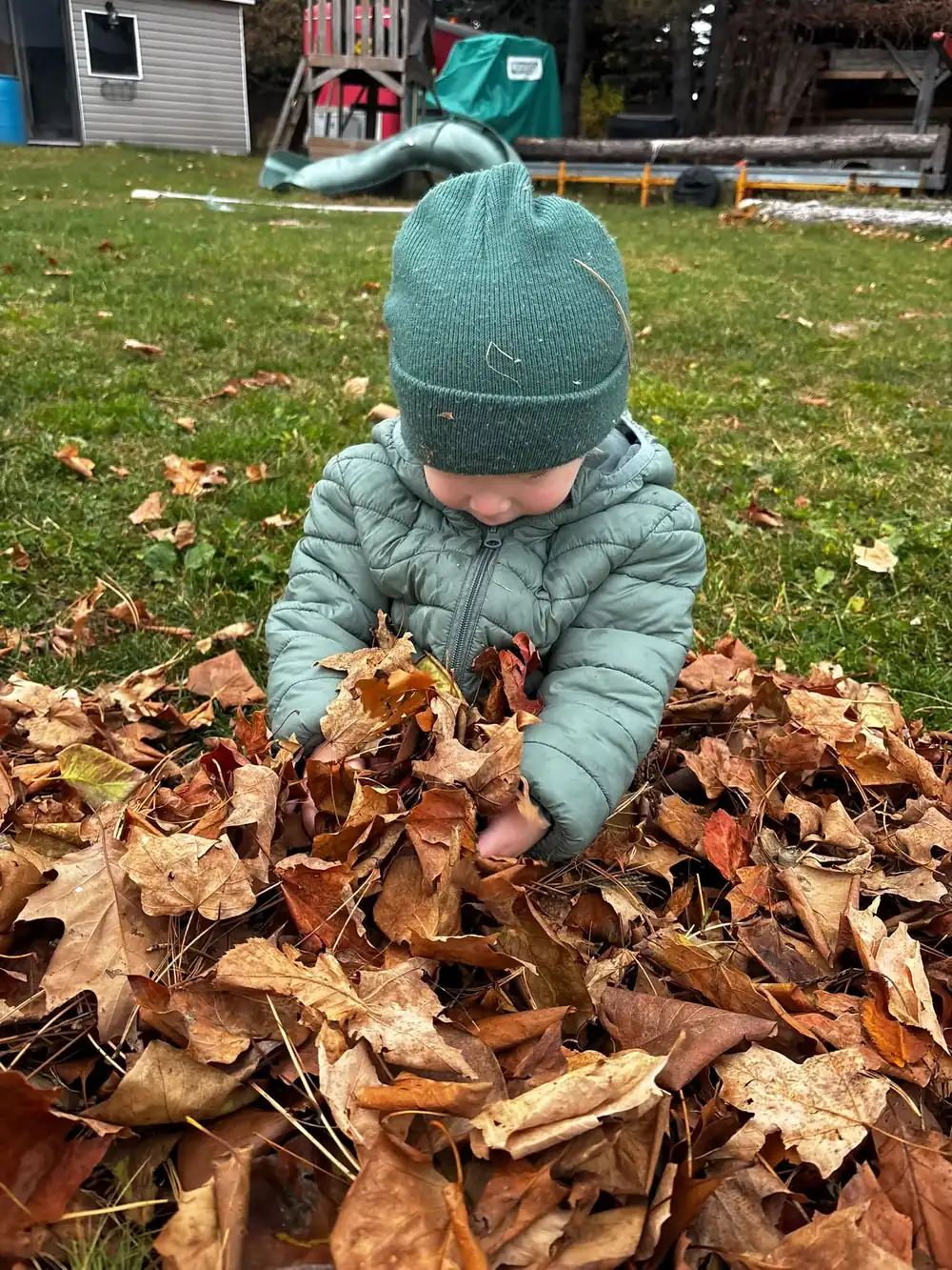 Toddler in a green puffy jacket and knit hat sitting in a pile of fallen leaves, scooping up a handful