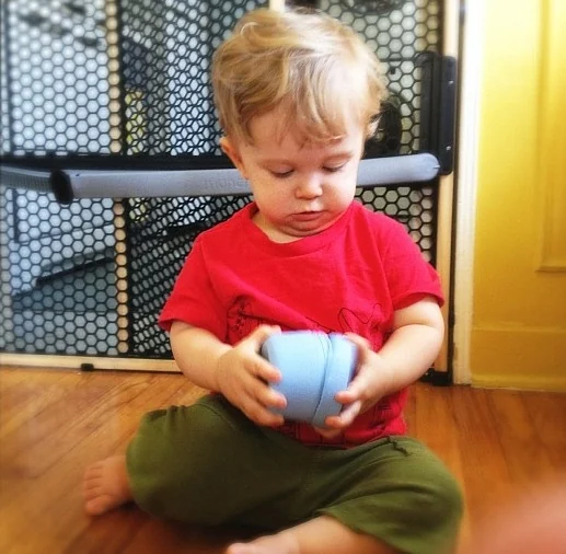 A toddler in a red T-shirt sits on a wood floor in front of a baby gate, turning a light blue container in both hands