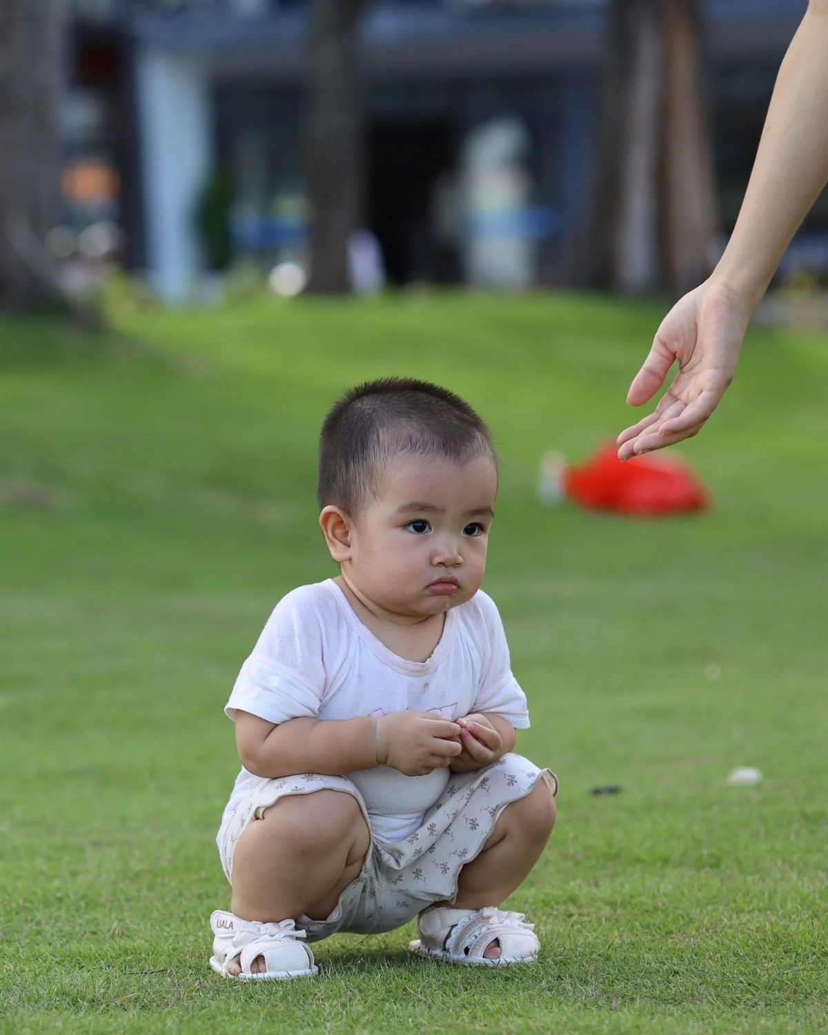 Toddler squatting on a grass lawn looking off to the side while an adult's hand waits at the edge of the frame