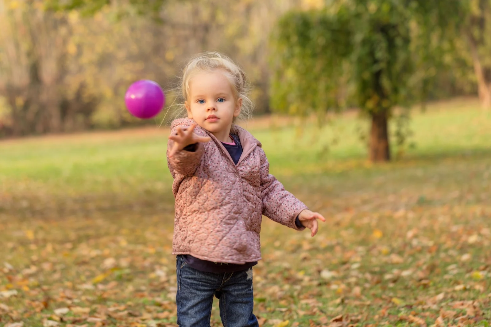 A toddler in a pink jacket throws a purple ball outdoors in a park with autumn leaves
